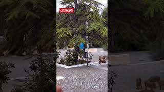Απρόσμενη εμφάνιση αγριογούρουνων σε εκκλησία στους Θρακομακεδόνες