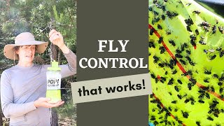 How to get rid of flies | Non-Toxic Fly Control