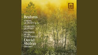 Clarinet Quintet in B Minor, Op. 115: I. Allegro