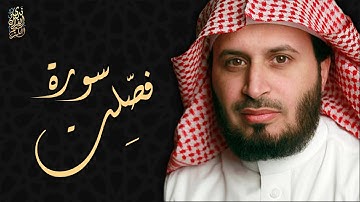 الشيخ سعد الغامدي - سورة فصلت  | Sheikh Saad Al Ghamdi - Surat Fussilat