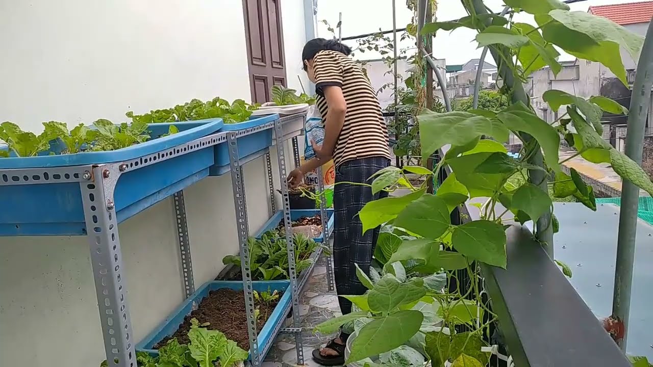 Tiny Balcony, Big Growth — The Secret Fertilizer I Never Expected