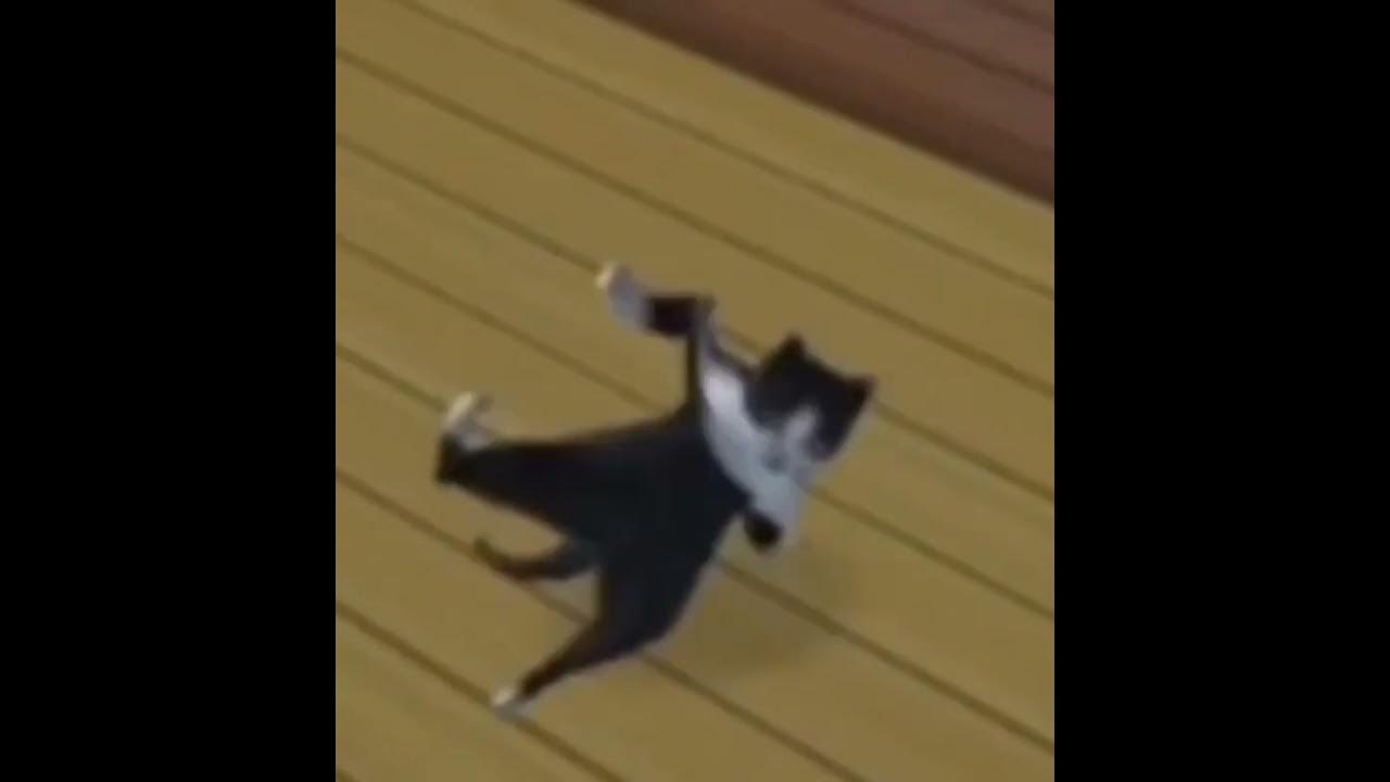 Cat dancing speed up. Кот флексит. танцующий кот gif. cat breakdancing.