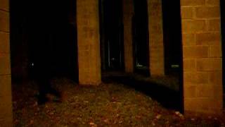 CIMG0040.AVI