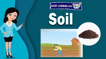 Soil | Ways to Prevent Soil Erosion | Preventing Soil Erosion | Environment, Land & Water | Science