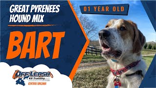 ARB The Best 　 POWER UP! HOUND DOG ARB The Best POWER UP! HOUND DOG Toyota 300 Series