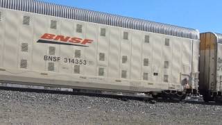 Old Defect Detector CSX Mixed Freight Train Westbound