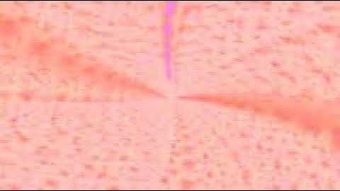 سورة الكافرون بصوت الشيخ القارئ سعود الشريم