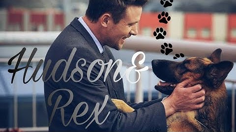 Hudson & Rex || "Everybody needs a Rex."