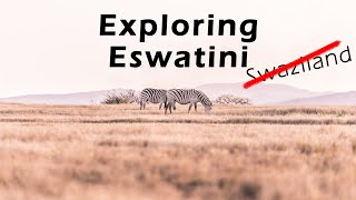 Eswatini Vlog | Attending Weddings and Chilling with Pumba | Swaziland