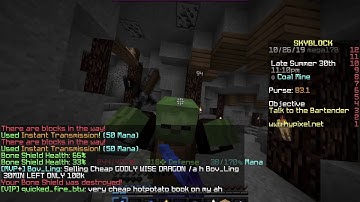 Hypixel Skyblock Exploit