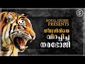 കേരളത്തില്‍ നിന്നും തമിഴ്നാട്ടിലെത്തി. നീലഗിരിയെ വിറപ്പിച്ച നരഭോജിക്കടുവ.kenneth , segur man eater