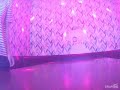 中澤卓也/桜【うたスキ動画】