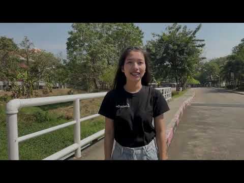 เพลงดอกฟ้า (ภาษามือ)