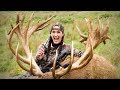 Winchester Deadly Passion S1E1 New Zealand World Record Stag