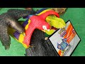 Alla ricerca della figurina perduta [Dinosauri Detective 🕵️ Ep. 9]