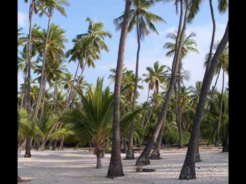 Rio 18, Coco Maria, Don Leisure, Baldo Verdú - Todo Chévere