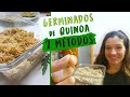 Cómo hacer Germinados de QUINOA