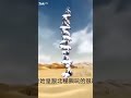 秦始皇騎北極熊 秦始皇騎北極熊