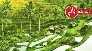 جزيرة بالي اجمل جزر اندونيسيا دليلك الشامل للسفر اليها  indonesia bali island guide