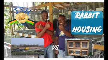 Jamaica Rabbit Farming: Rabbit Housing