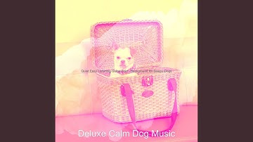 Pulsating Moods for Relaxing Puppies