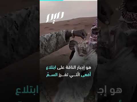 في معنى اله يم