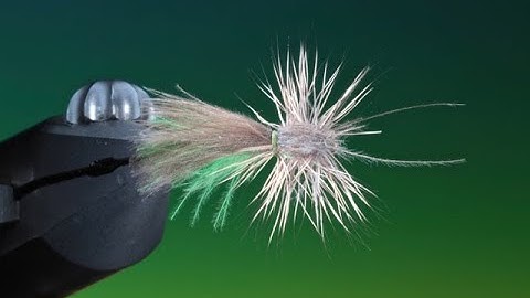 Fly Tying the Midsummer Caddis/Sedge with Barry Ord Clarke