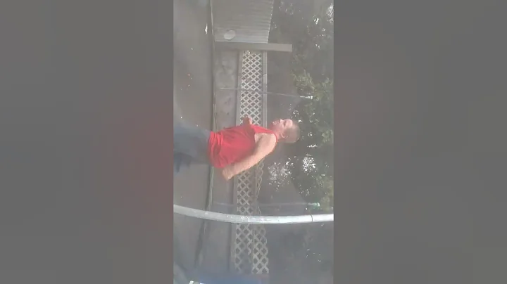 tour of my back yard