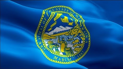 Nebraska US State flag closeup 1080p Full HD 1920X1080 footage video waving in wind.USA flag HD