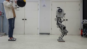 [Hubolab] Humanoid (Gazelle) Performance Test