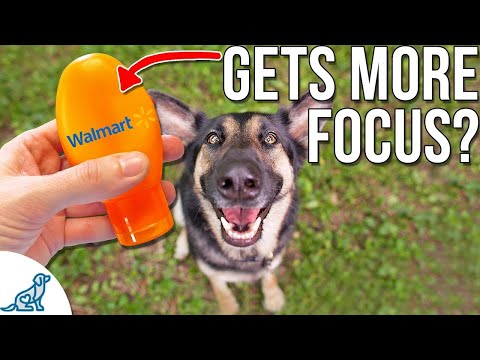 Video: Dog Dental Treats - sind sie den Preis wert?