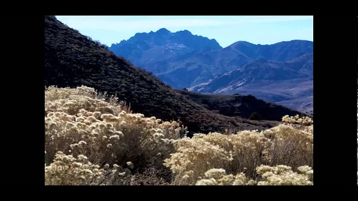 Sheepherders with Cell Phones: a Deep West Video b...