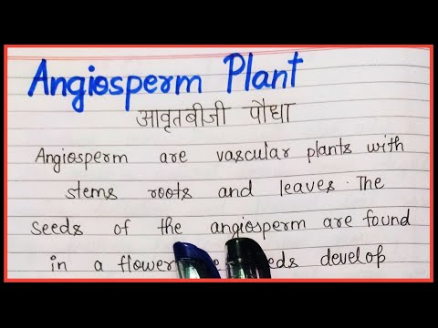 Definition of angiosperm plants in english