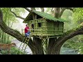 Building a Bamboo Tree House - Survival in the Amazon Jungle