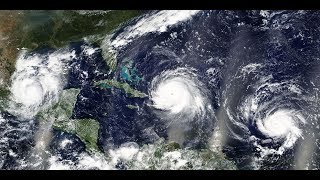 Temporada de huracanes- UNAM Global screenshot 5