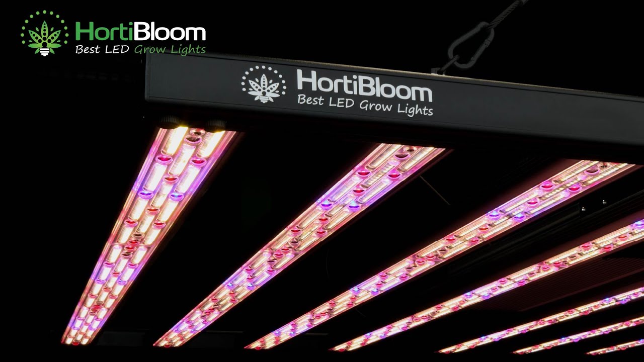 Обзор светодиодного светильника для выращивания растений Hortibloom Mega Optic 800W