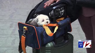 Thanksgiving travel ramps up ahead of holidaus