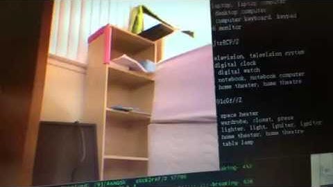 real time image classification