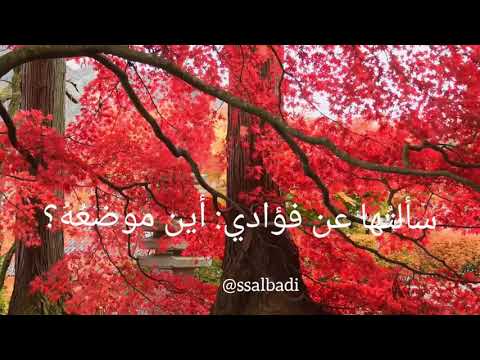 من جواهر الشعر سألتها عن فؤادي أين موضعه