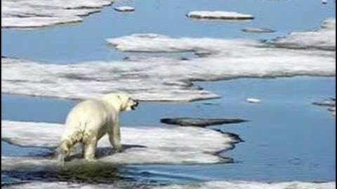 First Look: Arctic Changes (CBS News)