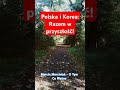 Polska i Korea razem w przyszłość! #Polska #polityka #gospodarka #hightech #technologia #X #shorts