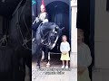 POLITE TOURISTS WIN THE GUARDS’ SOFT SIDE#ROYAL GUARD #KIND TOURISTS #RESPECTANDGRACE