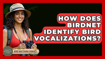 How Does BirdNET Identify Bird Vocalizations? - Bird Watching Diaries