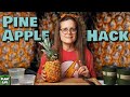 Can You Grow Four Pineapples From One?