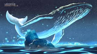 Music for SLEEP in less than 30 minutes  Natural Songs of Whales and Dolphins  Ocean Waves