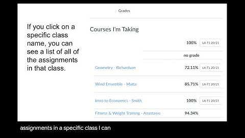 Canvas Observer: View Grades