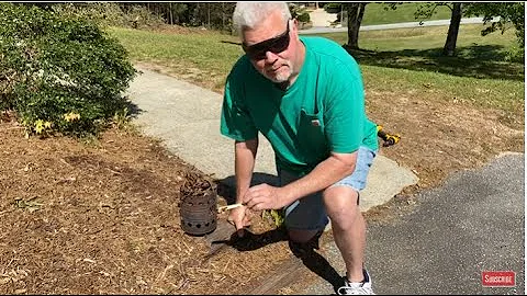 Self-Igniting Punkwood From Water Oak Branches Will Not Blow Out!