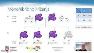 Pripreme za DM - Biologija - Nasljeđivanje