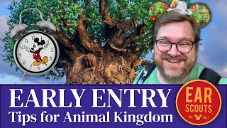 What's Early Entry Like at Animal Kingdom? Our Best Tips for a Wild Morning in Walt Disney World