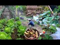 Gardening and cooking simple buridibod  live with nature  buhay probinsya
